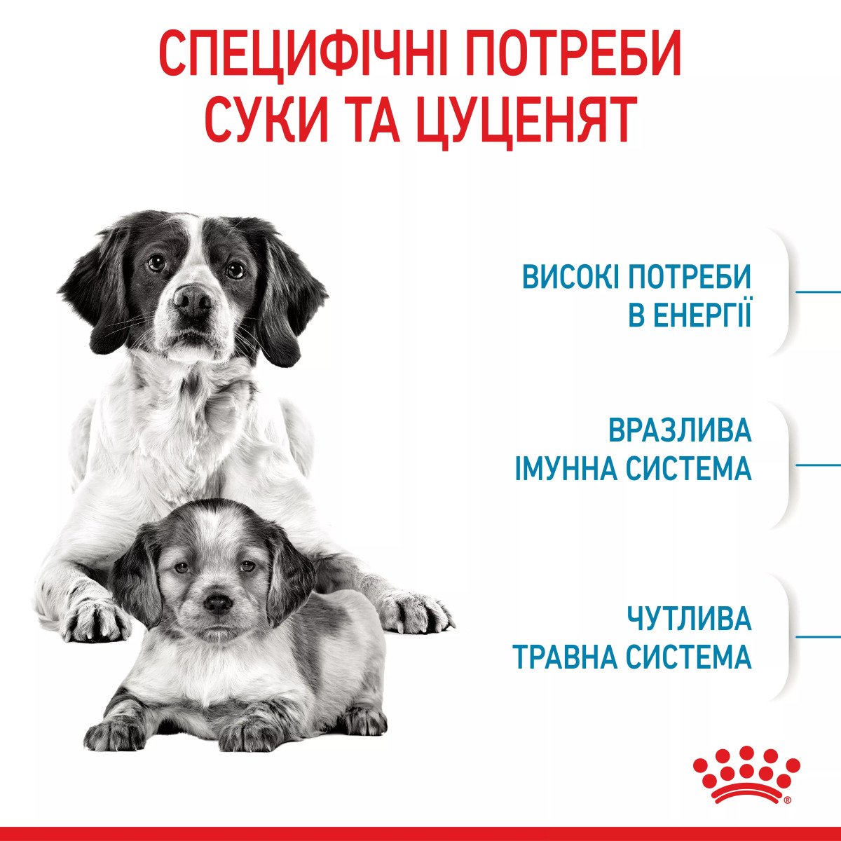 Сухий корм для цуценят середніх порід Royal Canin Medium Starter, 1 кг