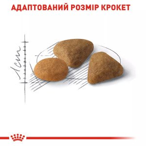Сухий корм для котів Royal Canin Exigent Savour, 10 кг