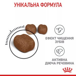 Сухий корм для котів Royal Canin Dental Care, 400 г