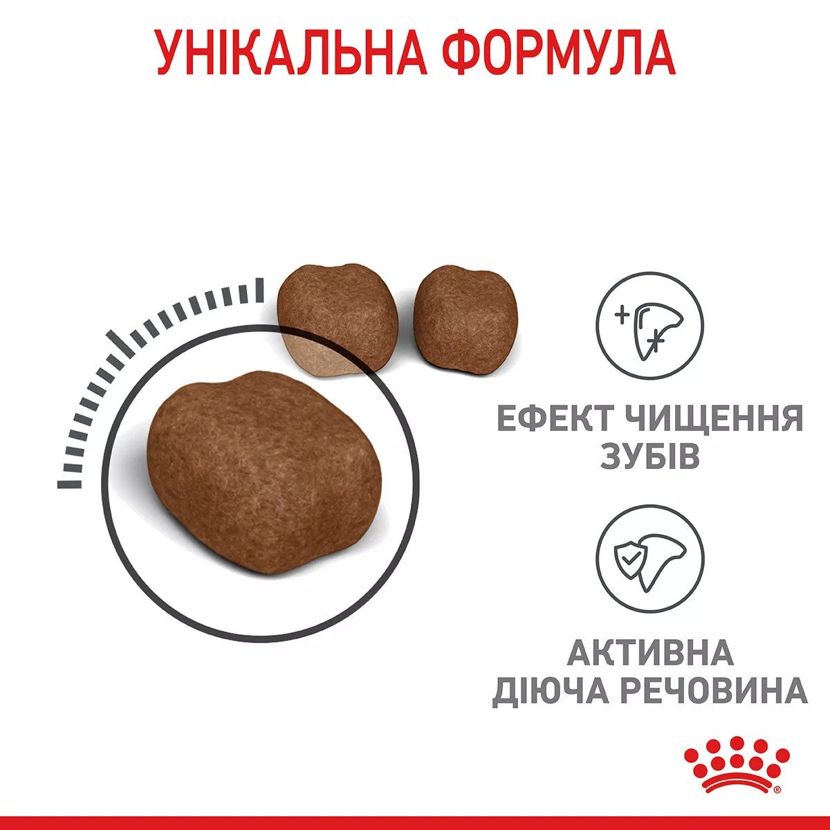Сухий корм для котів Royal Canin Dental Care, 8 кг