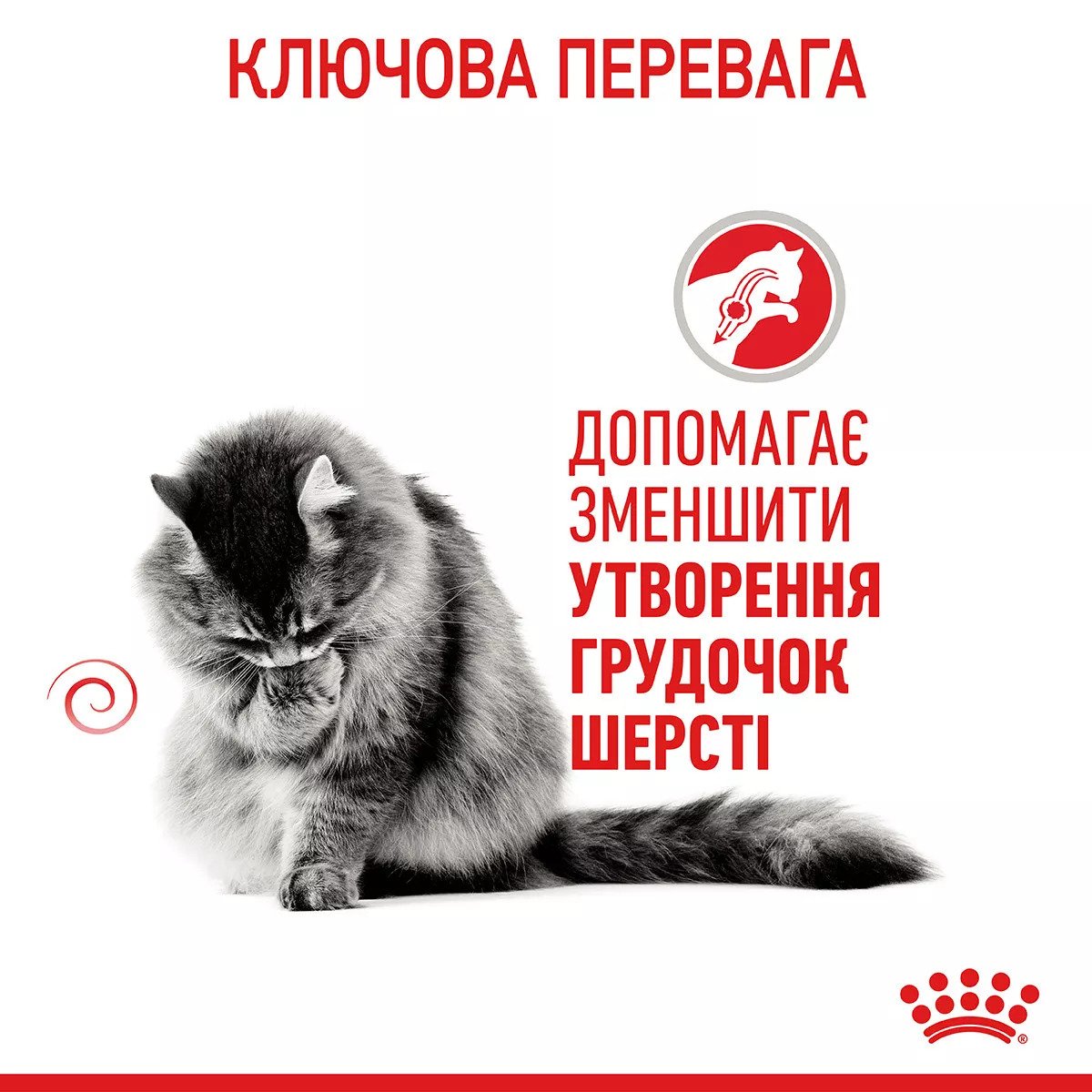 Вологий корм для котів Royal Canin Hairball Care Gravy, 85 г
