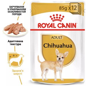 Вологий корм для собак чихуахуа Royal Canin Chihuahua, 85 г