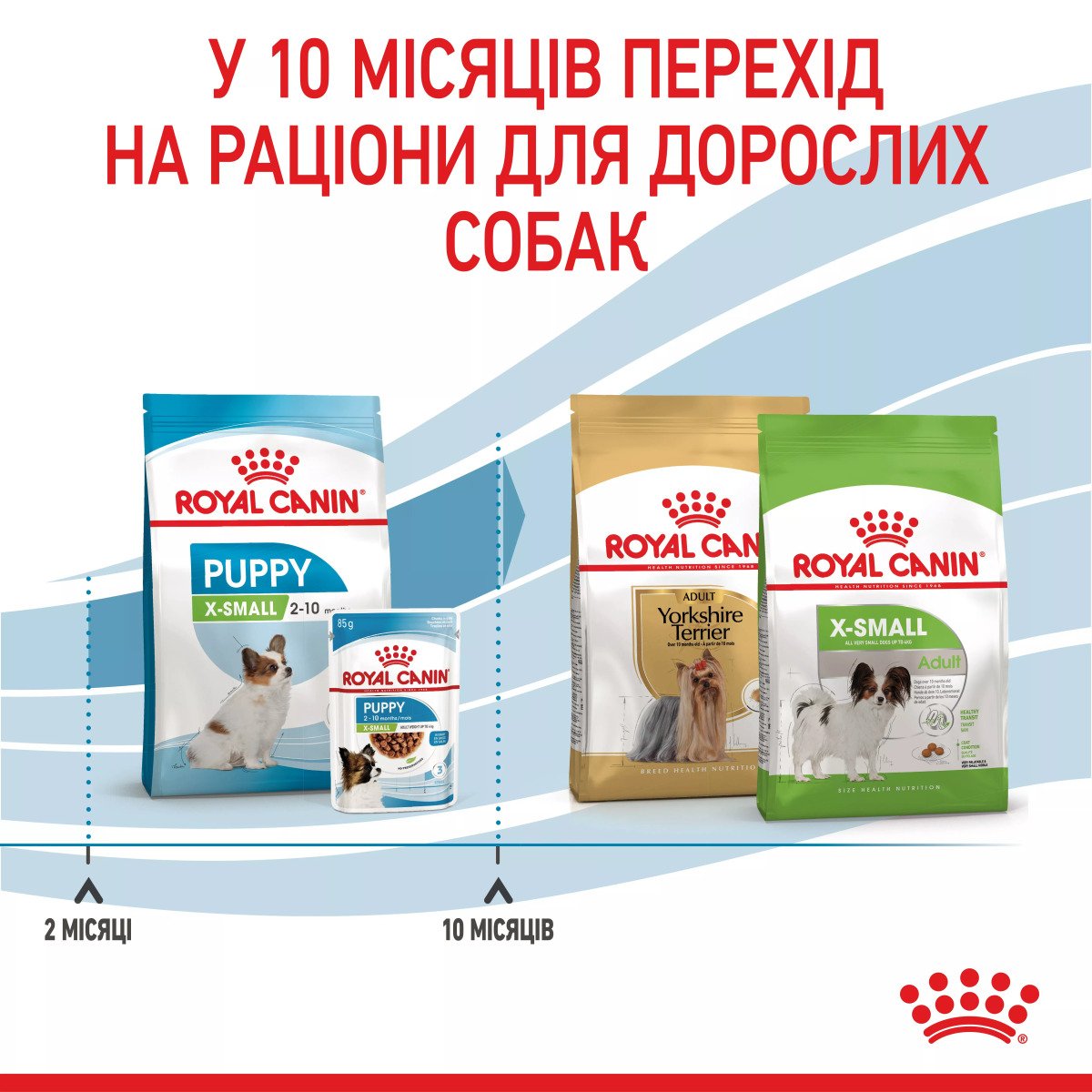 Сухий корм для цуценят мініатюрних порід Royal Canin Xsmall Puppy, 3 кг