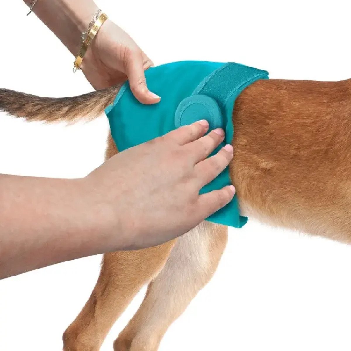 Багаторазові гігієнічні труси-підгузки для собак Simple Solution Washable Diaper Small (розмір S), 1 шт.