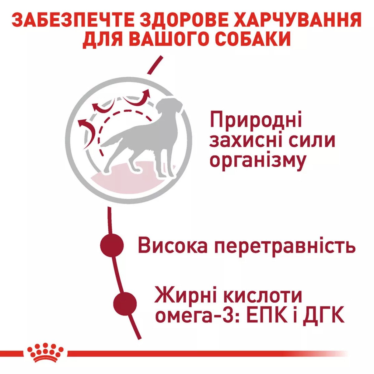 Сухий корм для собак середніх порід Royal Canin Medium Adult, 15 кг