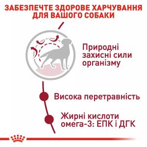 Сухий корм для собак середніх порід Royal Canin Medium Adult, 4 кг