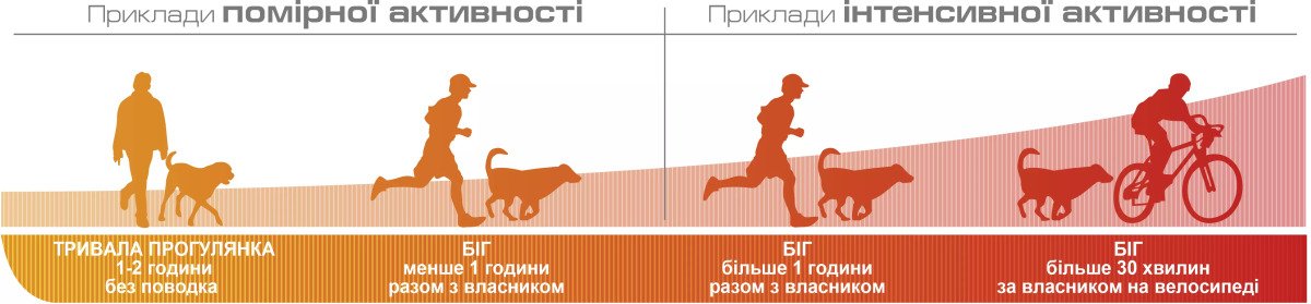 Сухий корм для собак Royal Canin Energy, 50 г
