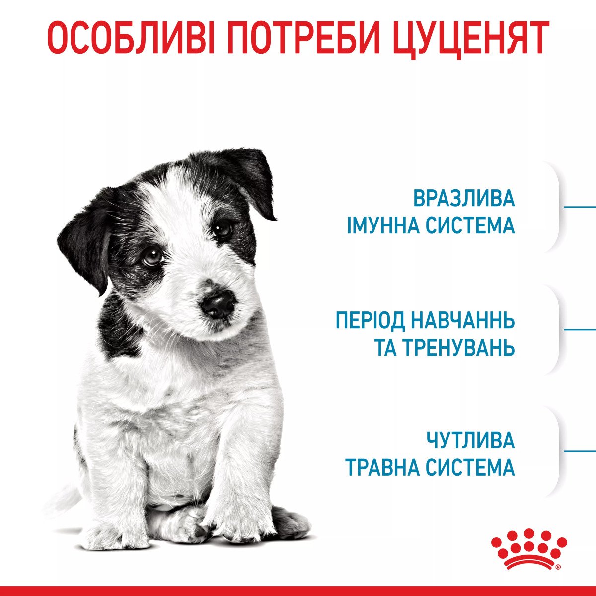 Сухий корм для цуценят мініатюрних порід Royal Canin Mini Puppy, 2 кг