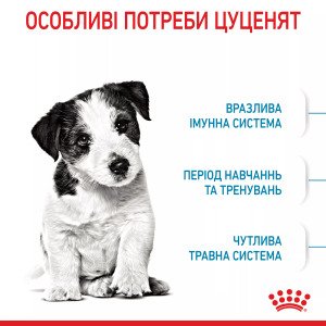 Сухий корм для цуценят мініатюрних порід Royal Canin Mini Puppy, 2 кг