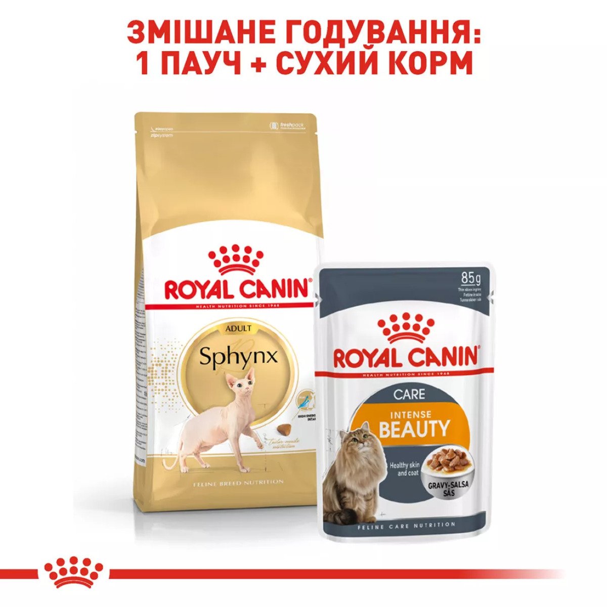 Сухий корм для котів Royal Canin Sphynx Adult, 10 кг