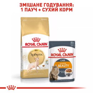 Сухий корм для котів Royal Canin Sphynx Adult, 10 кг