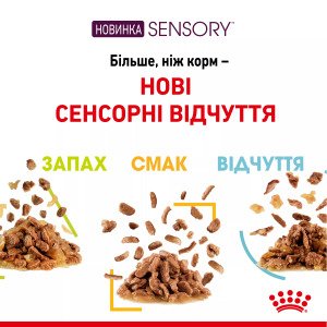 Вологий корм для котів Royal Canin Sensory Feel Morsels In Jelly, 85 г