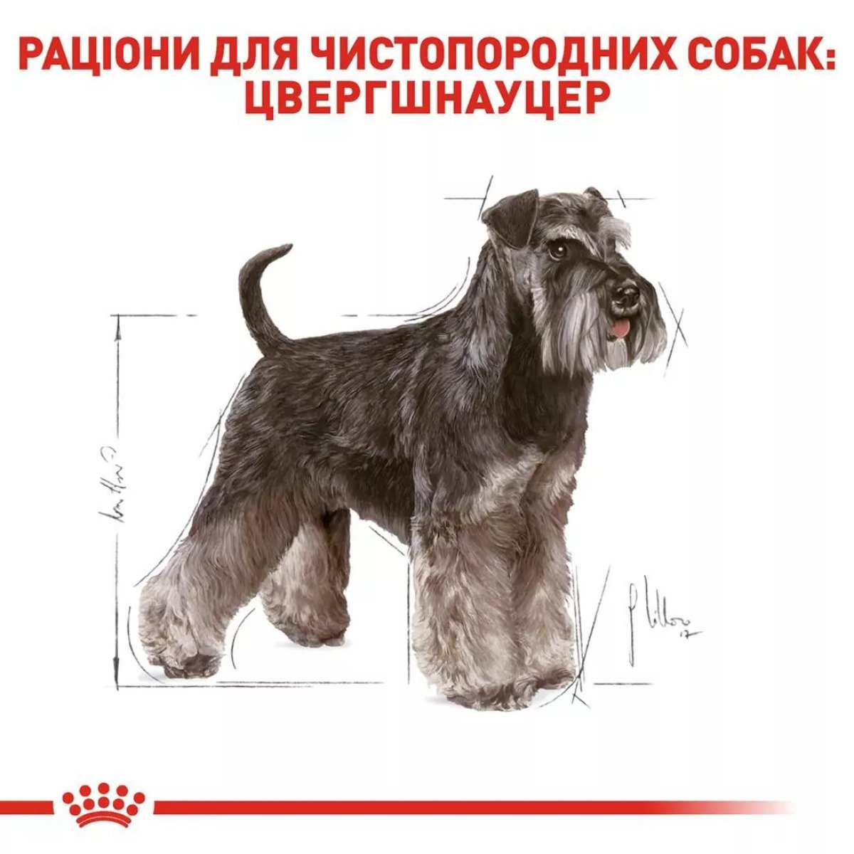 Сухий корм для собак Royal Canin Schnauzer Adult, 7.5 кг