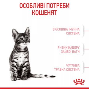 Сухий корм для кошенят Royal Canin Kitten Sterised, 2 кг