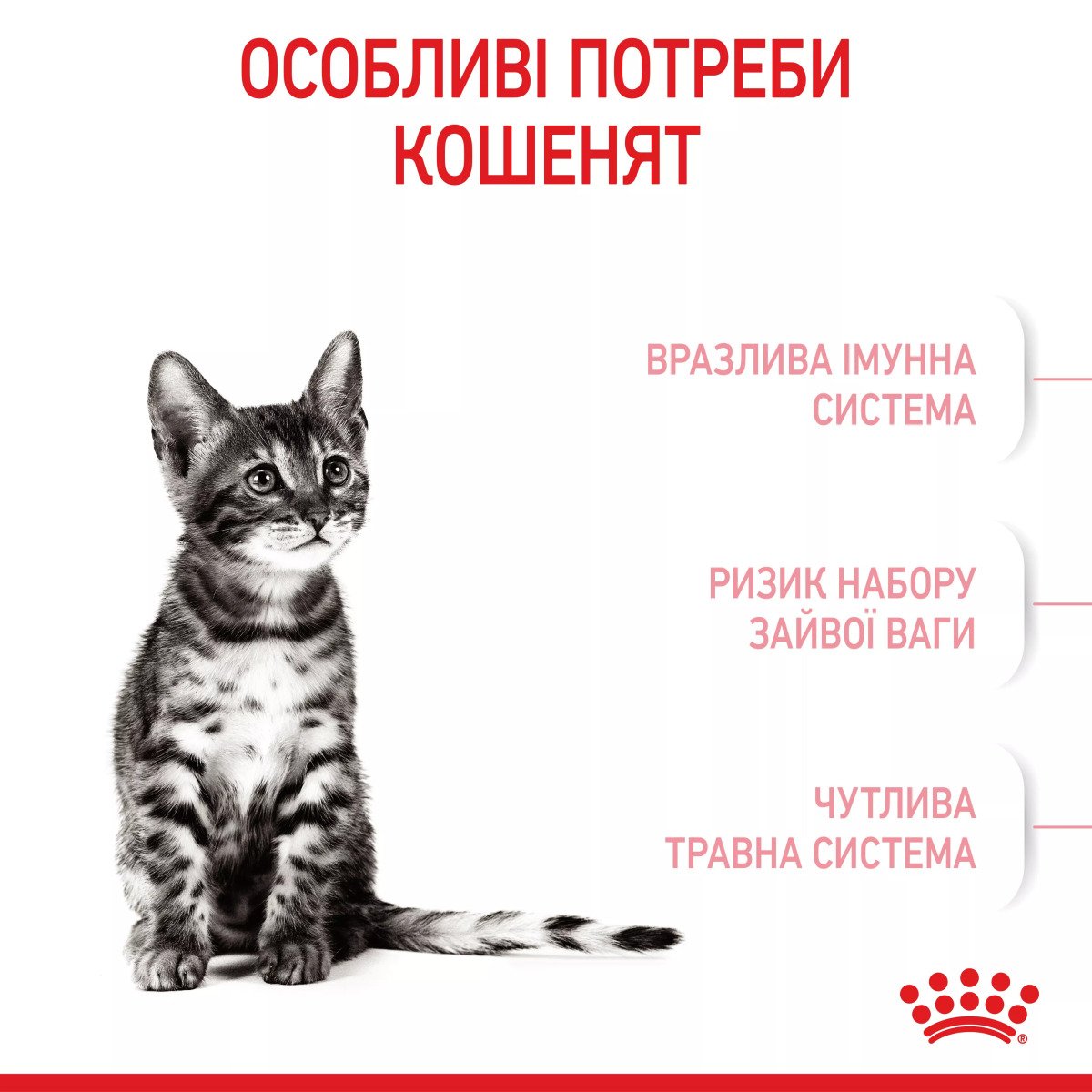 Сухий корм для кошенят Royal Canin Kitten Sterised, 400 г