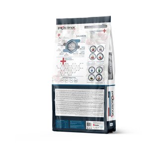 ProScience Adult Cat Salmon 15 kg