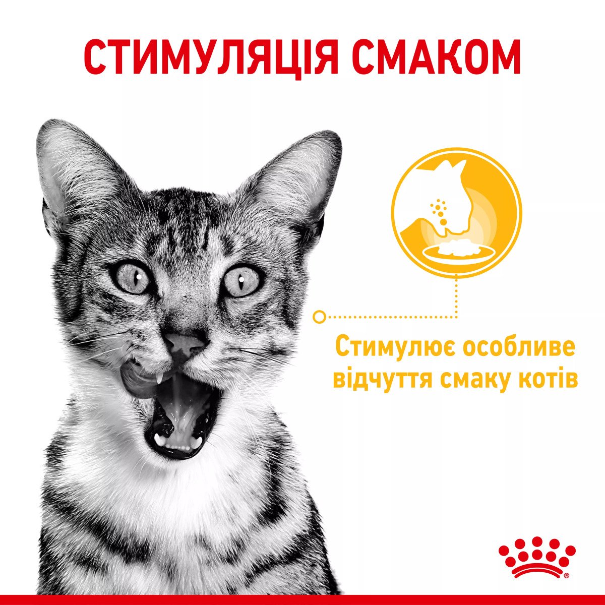 Вологий корм для котів Royal Canin Sensory Taste Chunks In Jelly, 85 г
