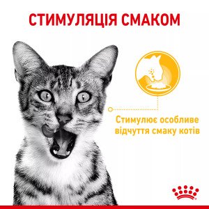 Вологий корм для котів Royal Canin Sensory Taste Chunks In Jelly, 85 г