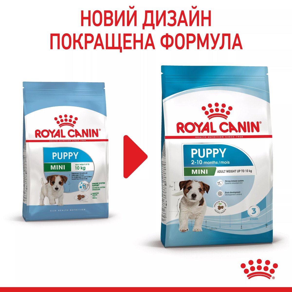 Сухий корм для цуценят мініатюрних порід Royal Canin Mini Puppy, 8 кг
