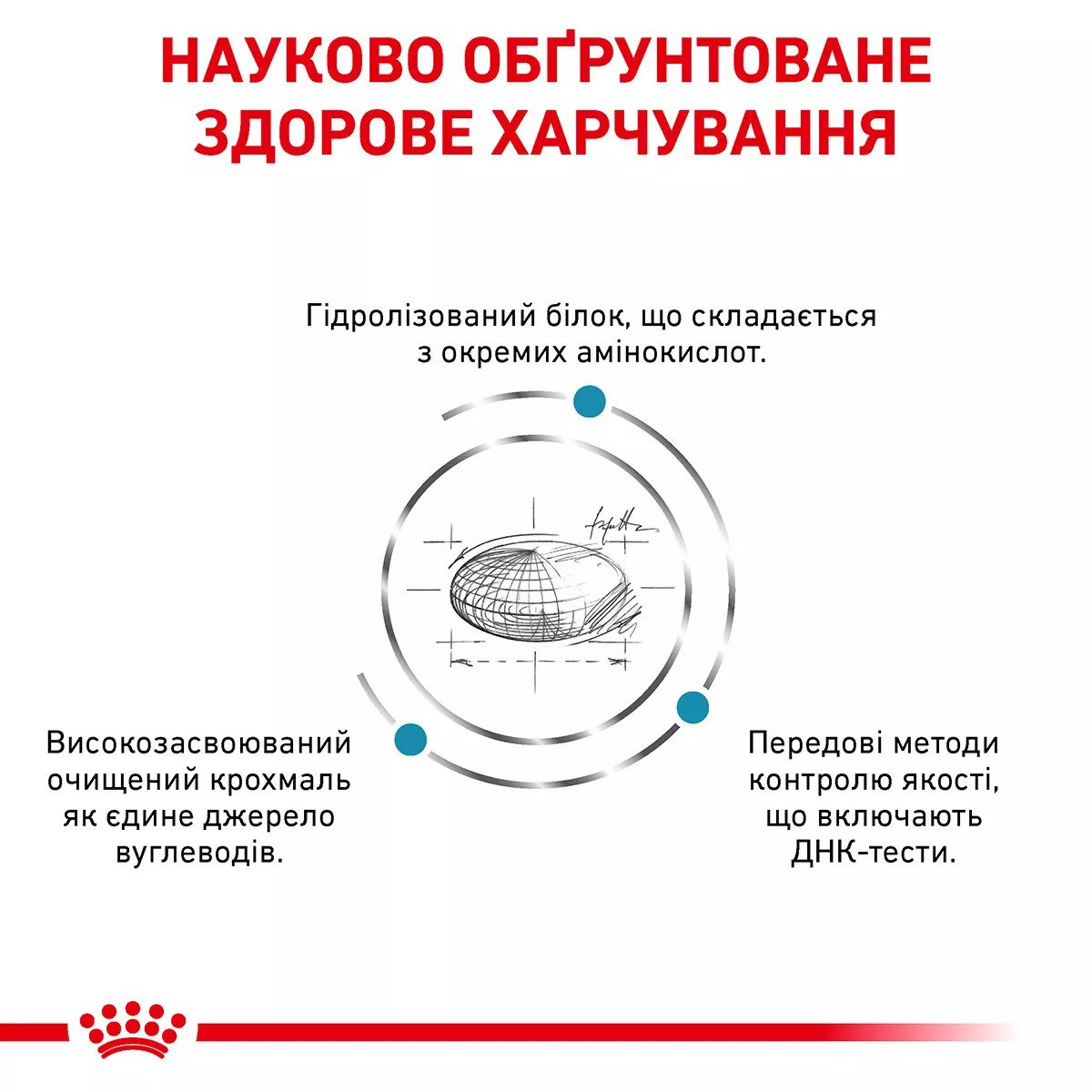 Сухий корм для собак Royal Canin Anallergenic Dog, 8 кг