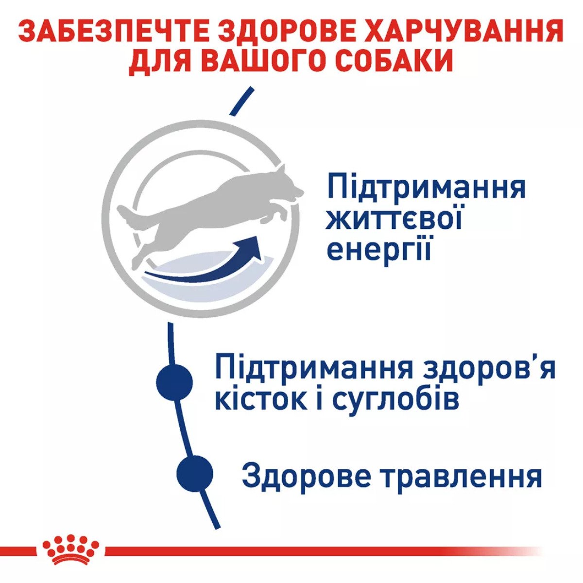 Сухий корм для собак великих порід Royal Canin Maxi Adult 5+, 15 кг