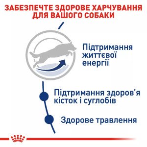Сухий корм для собак великих порід Royal Canin Maxi Adult 5+, 15 кг