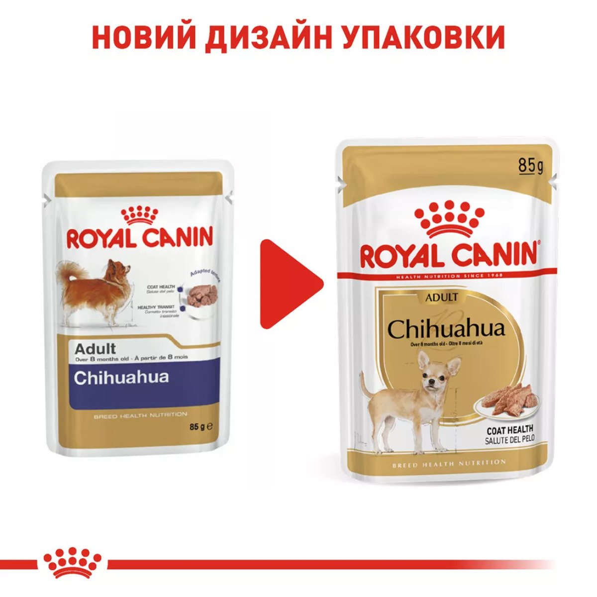 Вологий корм для собак чихуахуа Royal Canin Chihuahua, 85 г
