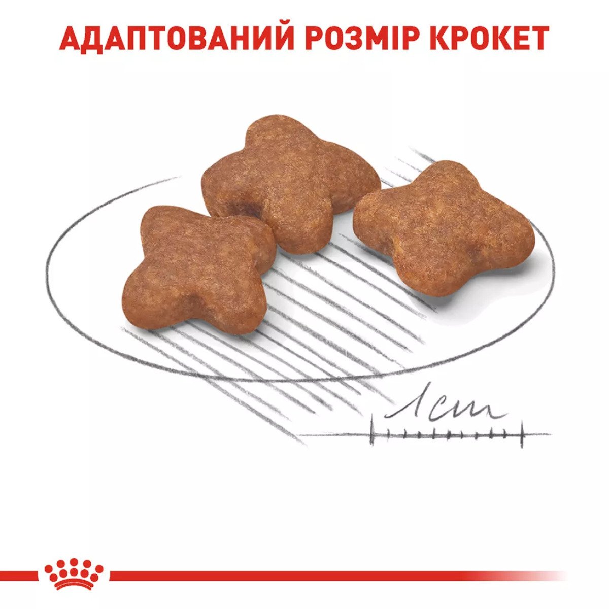 Сухий корм для собак малих порід Royal Canin Mini Adult 8+, 800 г