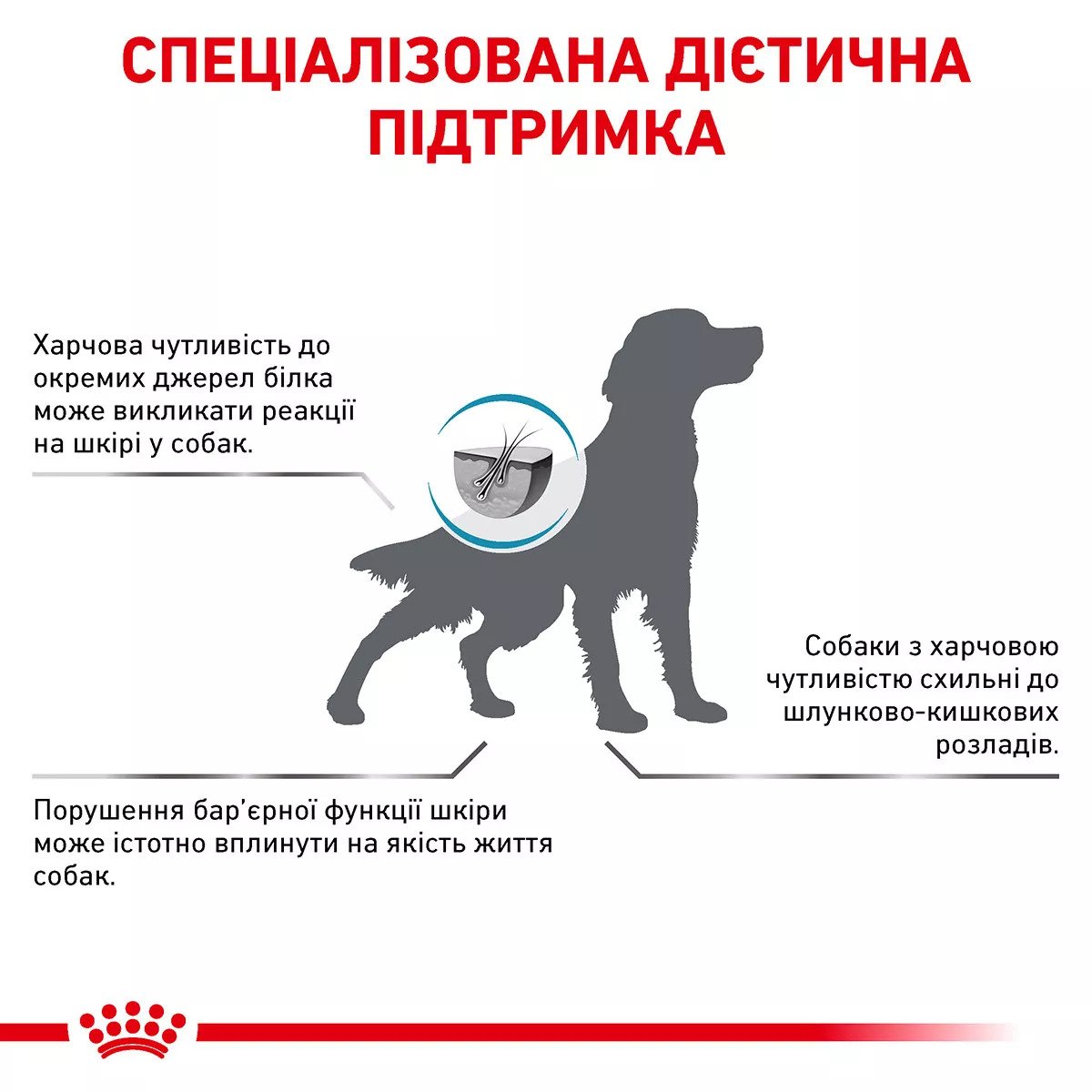 Сухий корм для собак Royal Canin Sensitivity Control Dog, 14 кг