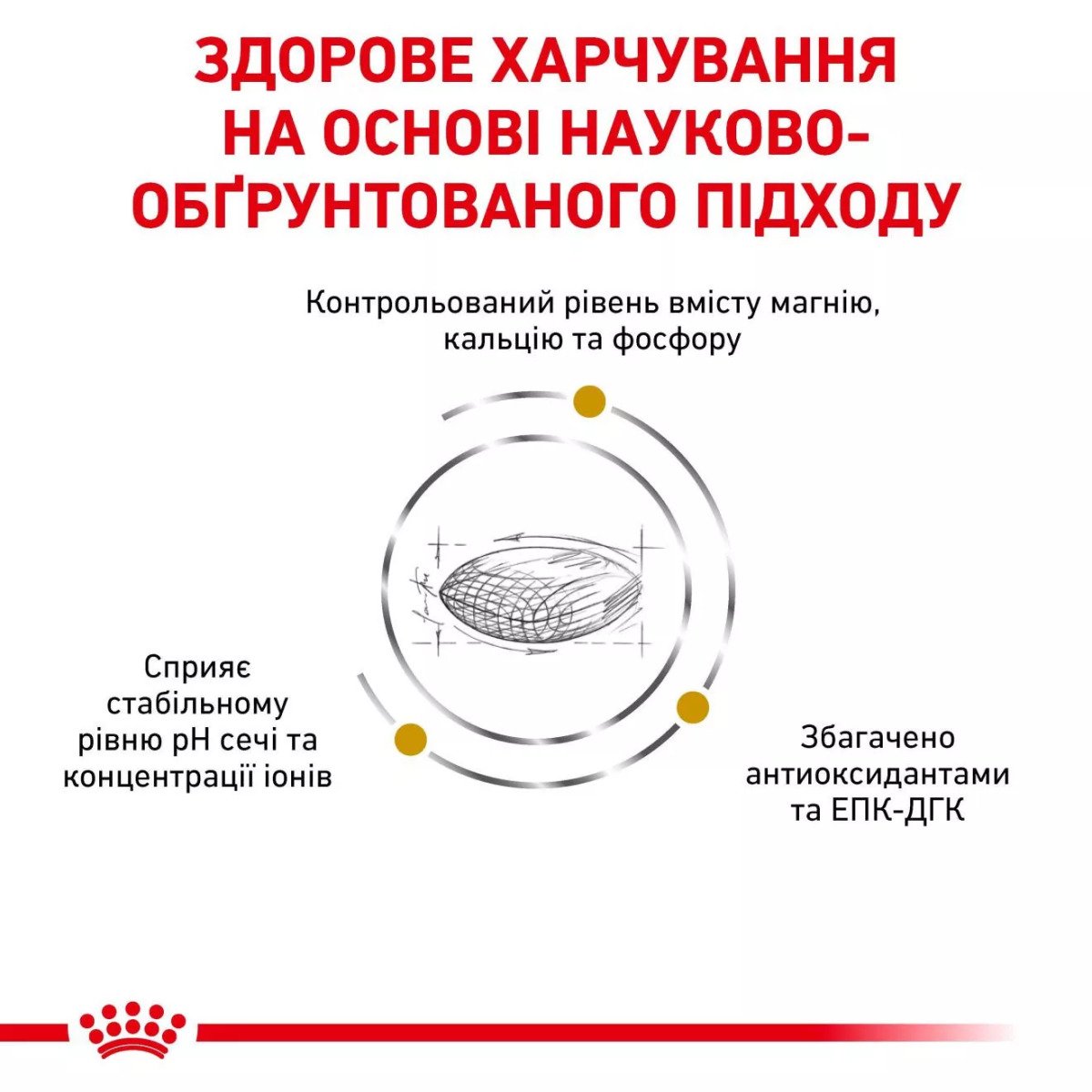 Сухий корм для собак Royal Canin Urinary Canine, 2 кг