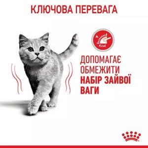Сухий корм для котів Royal Canin Light Weight Care, 400 г