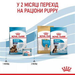 Сухий корм для цуценят великих порід Royal Canin Maxi Starter, 4 кг