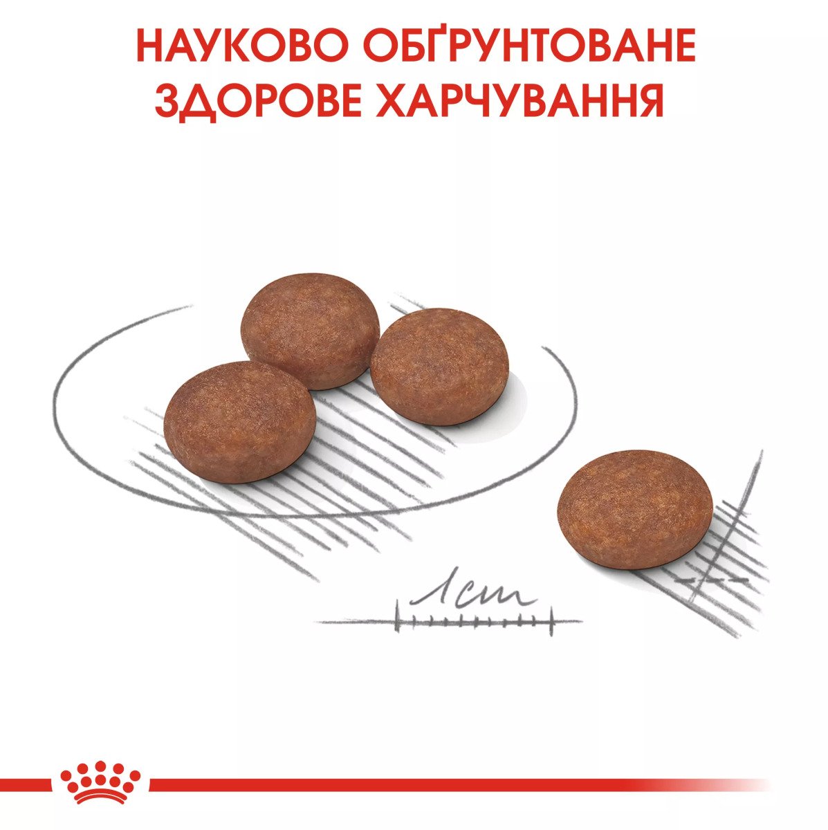 Сухий корм для собак малих порід Royal Canin Mini Digestive Care, 3 кг