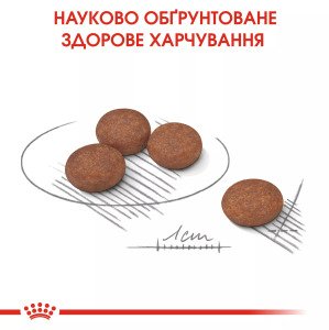 Сухий корм для собак малих порід Royal Canin Mini Digestive Care, 3 кг