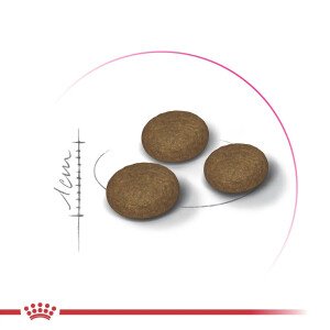 Сухий корм для котів Royal Canin Exigent Fussy, 10 кг