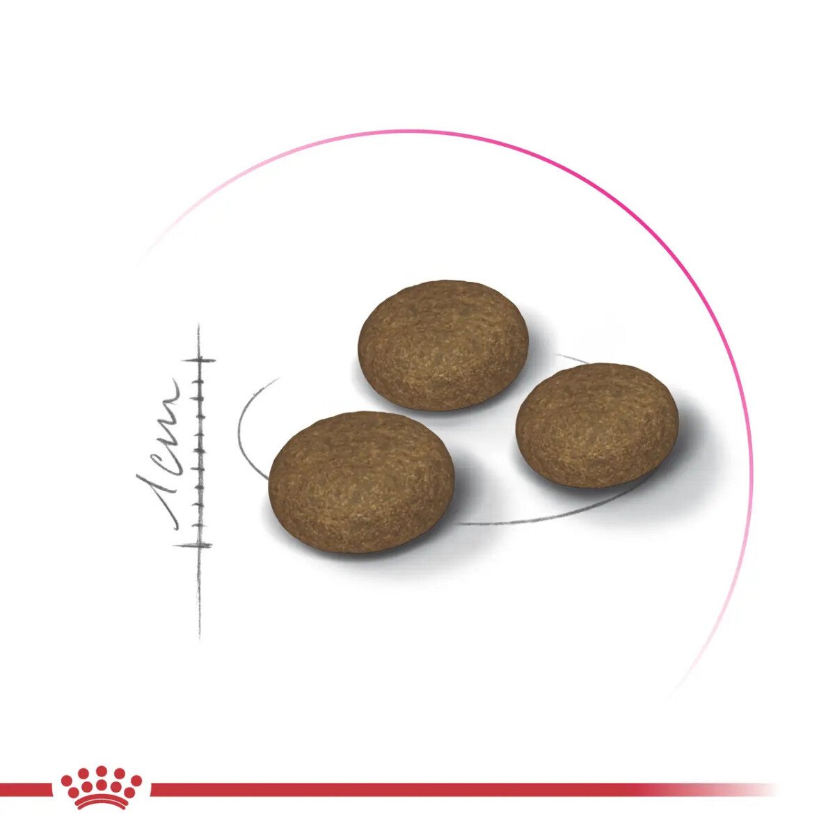 Сухий корм для котів Royal Canin Exigent Fussy, 2 кг