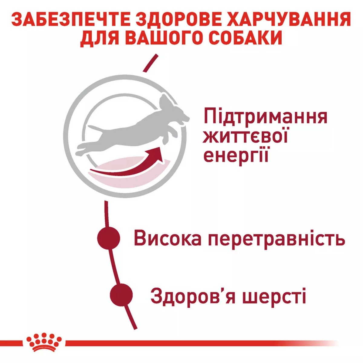 Сухий корм для собак середніх порід Royal Canin Medium Adult 7+, 4 кг