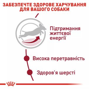 Сухий корм для собак середніх порід Royal Canin Medium Adult 7+, 4 кг