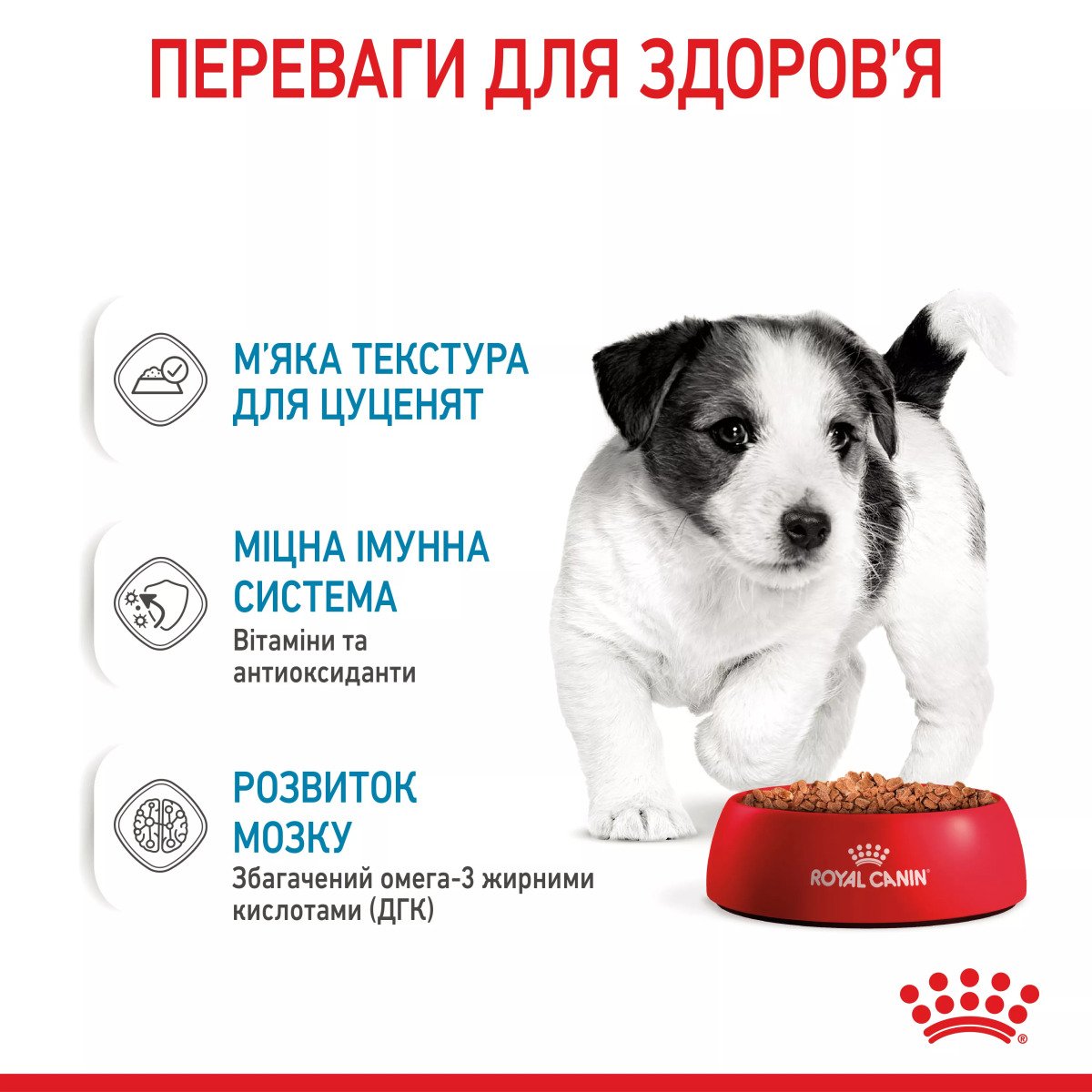 Вологий корм для цуценят мініатюрних порід Royal Canin Mini Puppy, 85 г