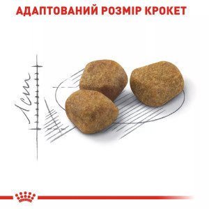 Сухий корм для котів Royal Canin Indoor 7+, 3.5 кг