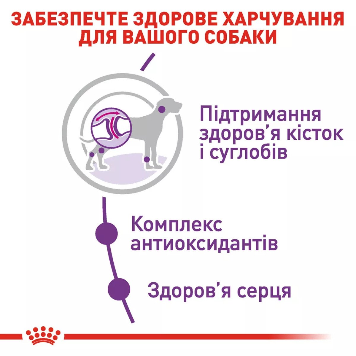Сухий корм для собак гігантських порід Royal Canin Giant Adult, 15 кг