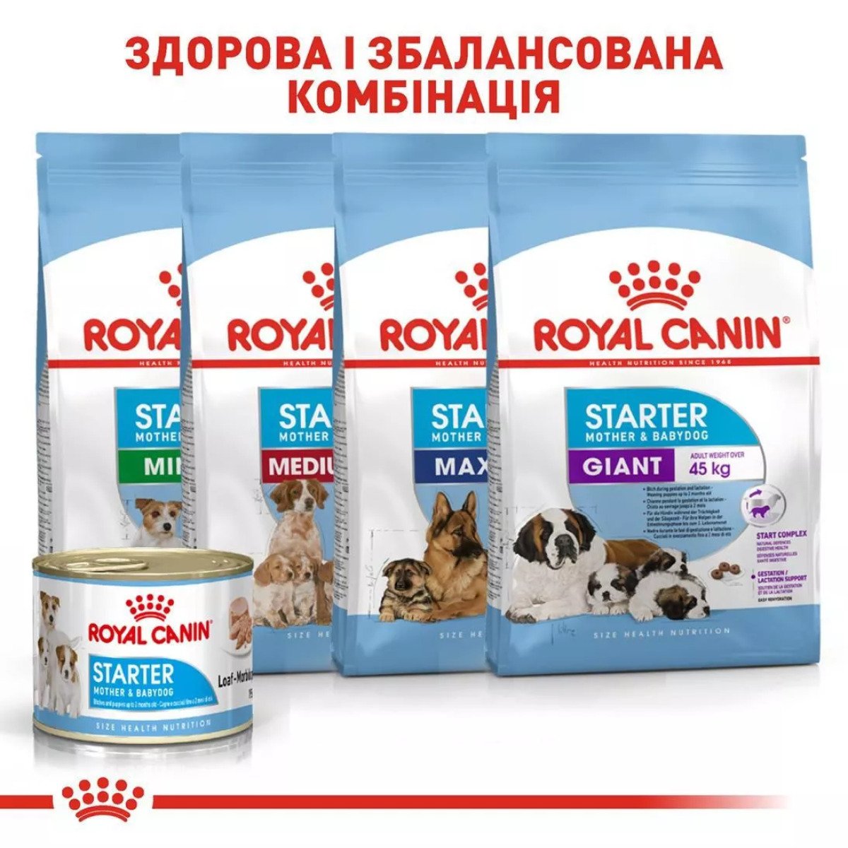 Вологий корм для цуценят Royal Canin Starter Mousse, 195 г