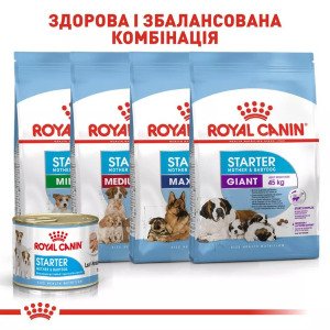 Вологий корм для цуценят Royal Canin Starter Mousse, 195 г
