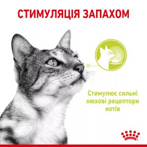 Вологий корм для котів Royal Canin Sensory Smell Chunks In Jelly, 85 г