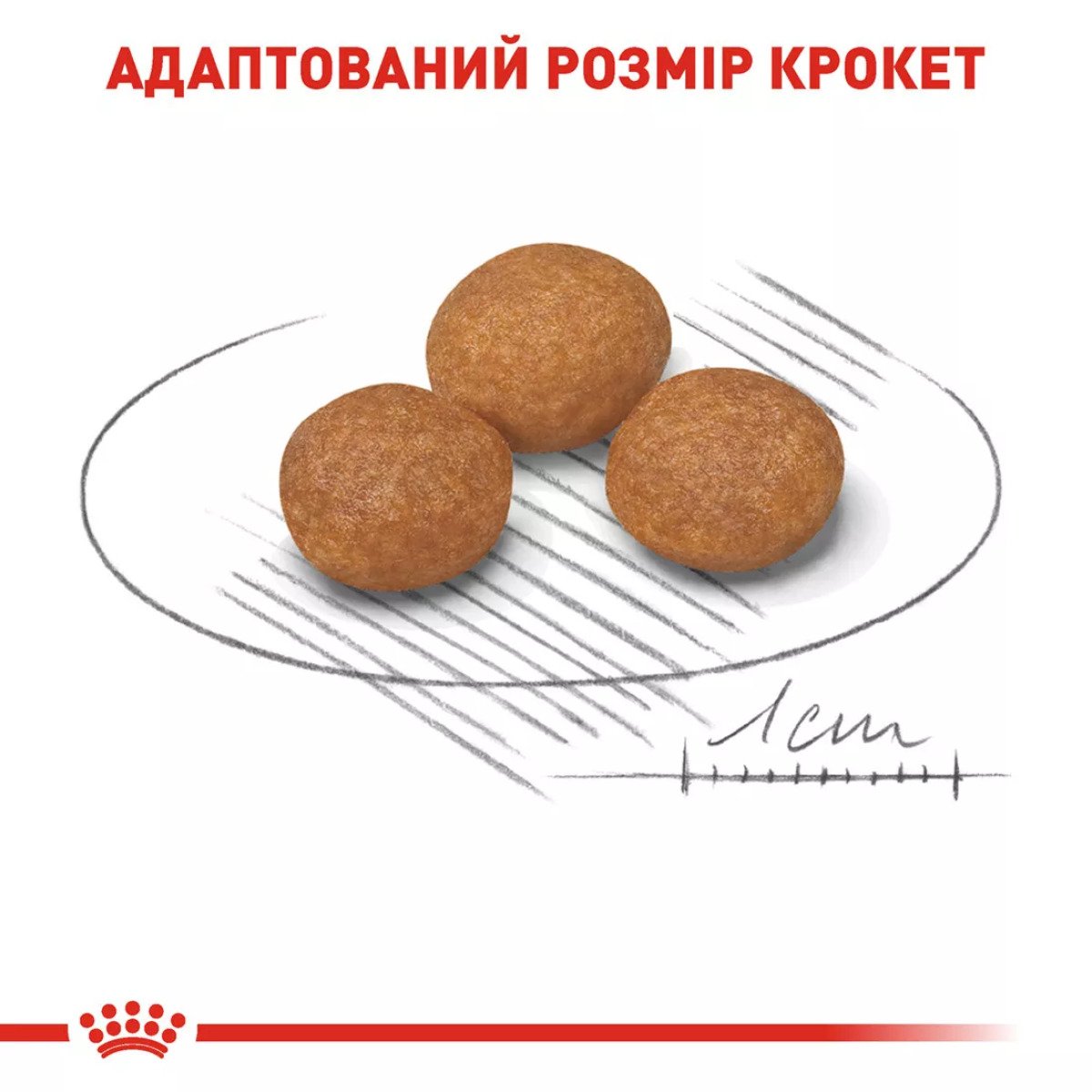 Сухий корм для собак малих порід Royal Canin Xsmall Adult 8+, 3 кг