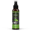 RELIQ Botanical Mist-Green Tea 120 мл