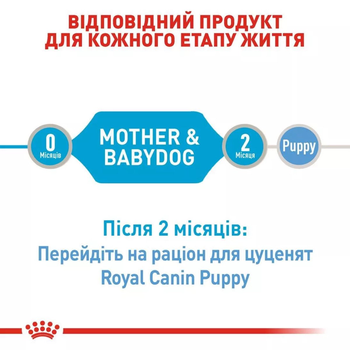 Вологий корм для цуценят Royal Canin Starter Mousse, 195 г