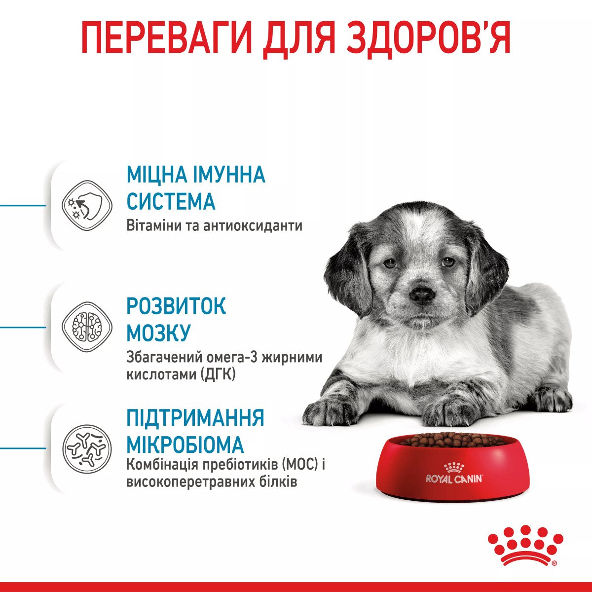 Сухий корм для цуценят середніх порід Royal Canin Medium Puppy, 4 кг
