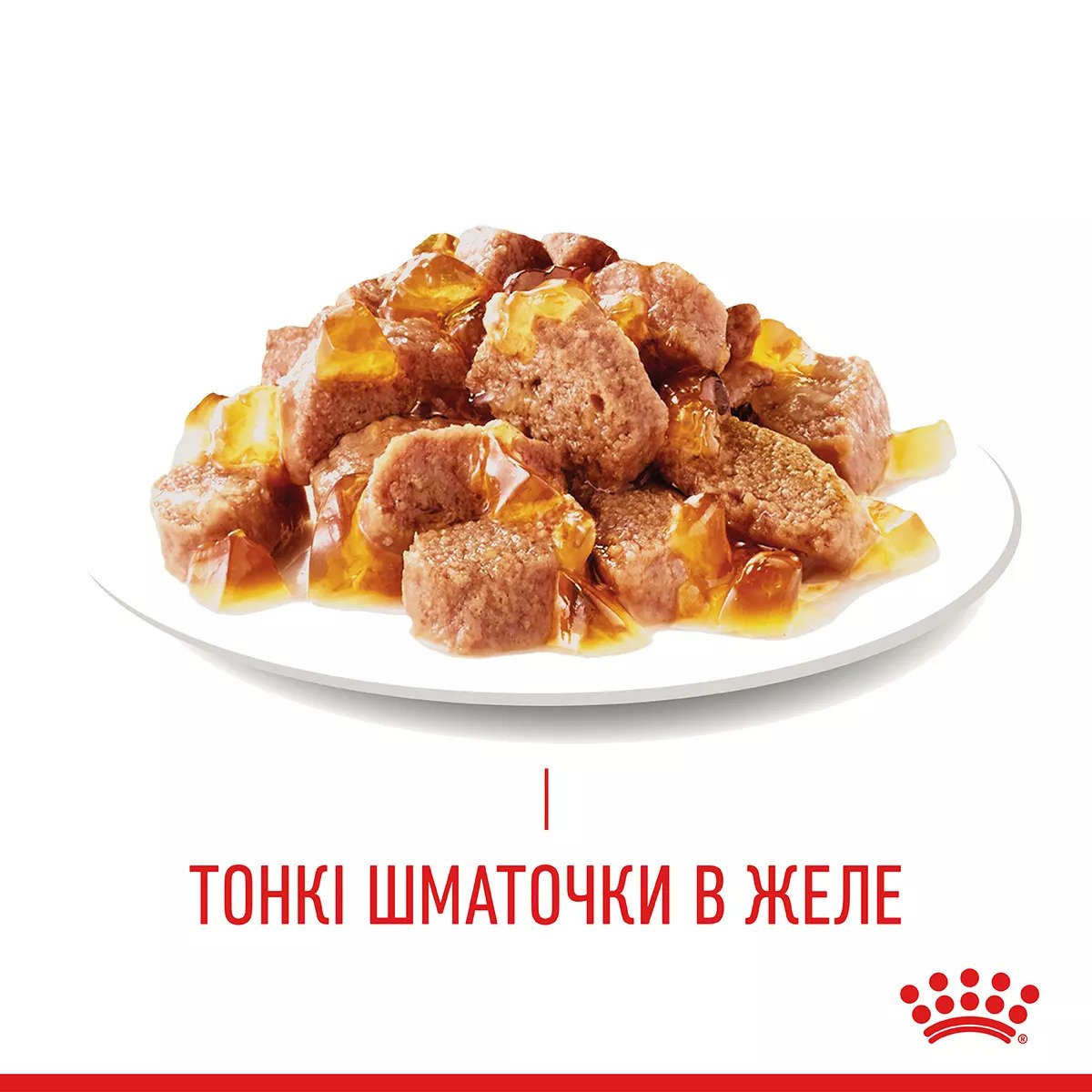Вологий корм для котів Royal Canin HAIR & SKIN CARE In Jelly, 85 г