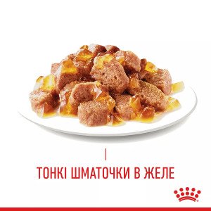 Вологий корм для котів Royal Canin HAIR & SKIN CARE In Jelly, 85 г